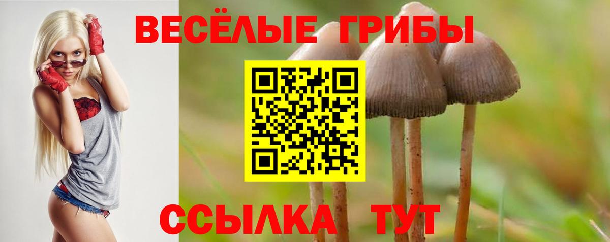 где продают наркотики  Псилоцибиновые грибы ЛСД  Прохладный  Вход с VPN  Псилоцибиновые грибы прущие грибы 